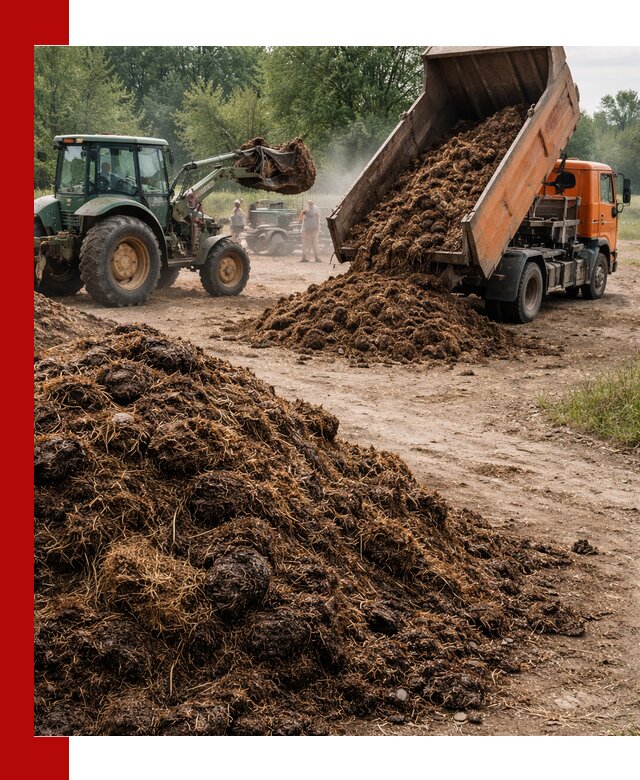 Доставка навоза самосвалами в Лыткарине для сельхозпотребностей